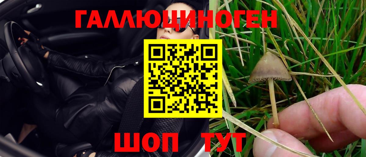 закладка  Псилоцибиновые грибы мухоморы  Вход с VPN  Луга 
