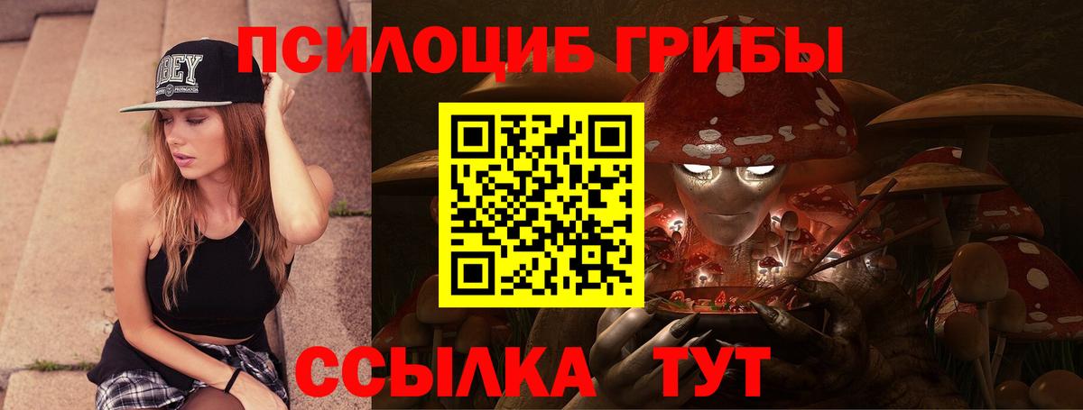 Псилоцибиновые грибы GOLDEN TEACHER Луга